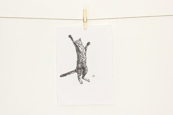 Air Cat
