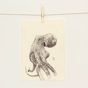 Octopus