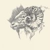 Ram - Slika 2