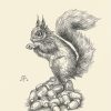 Squirrel - Slika 2