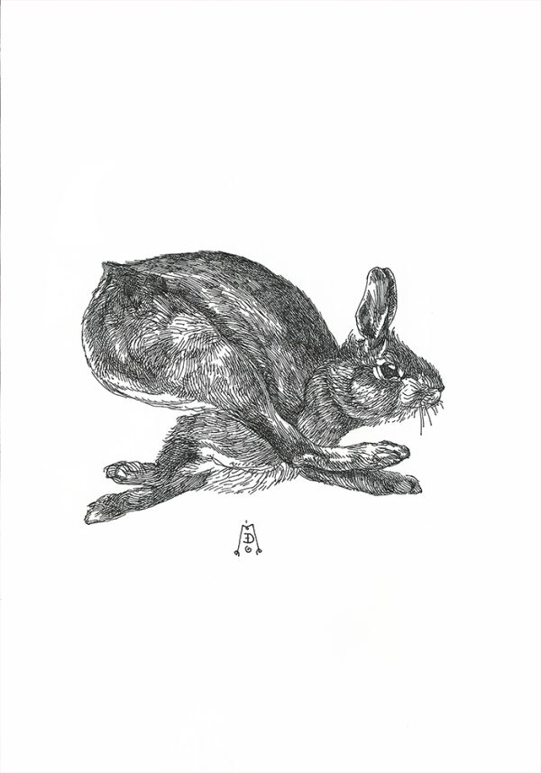 Rabbit - Slika 2